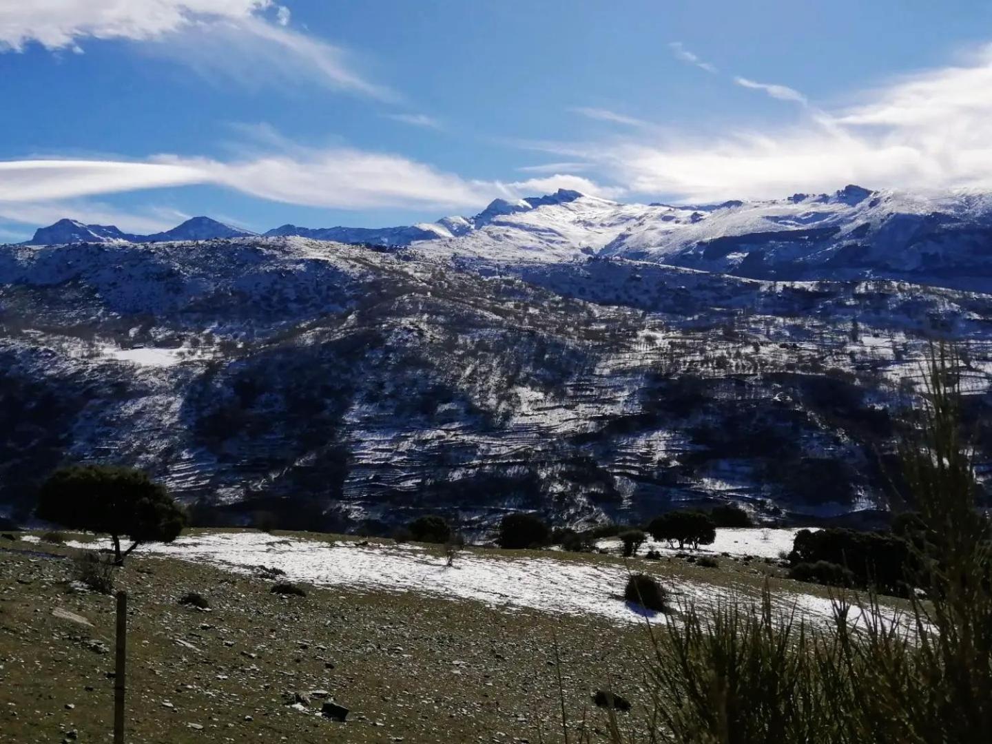 Apartamentos Sierra Nevada Park 구에하르 시에라 외부 사진