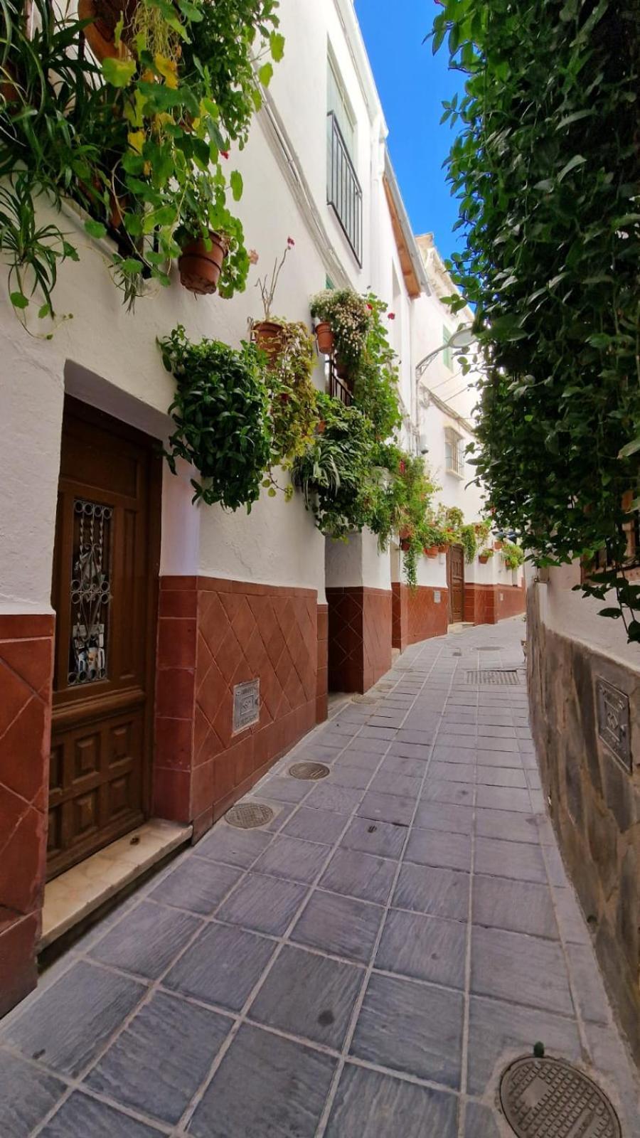 Apartamentos Sierra Nevada Park 구에하르 시에라 외부 사진